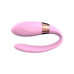 Oeuf Vibrant Télécommandé Pour Couples 'Salsa' -EasyToys Shop oeuf vibrant pour couples telecommande salsa 1 3