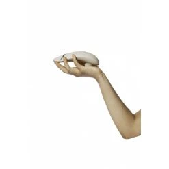 Stimulateur Clitoridien Premium 2 – Womanizer -EasyToys Shop stimulateur clitoridien premium 2 womanizer 5