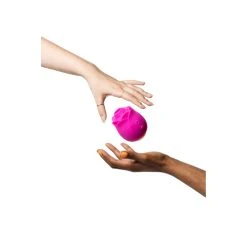 Stimulateur Clitoridien 'Rose' - Romp 9 Stimulateur Clitoridien 'Rose' - Romp -EasyToys Shop stimulateur clitoridien rose romp 3